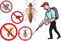 Optimum Services Pest Control image 1
